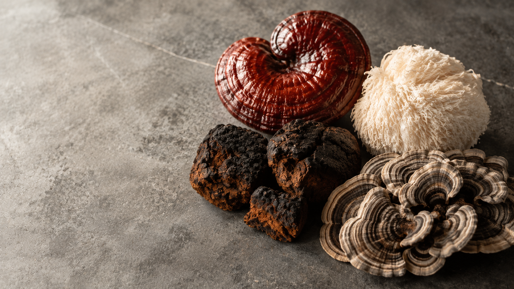 What Are Adaptogenic Mushrooms?