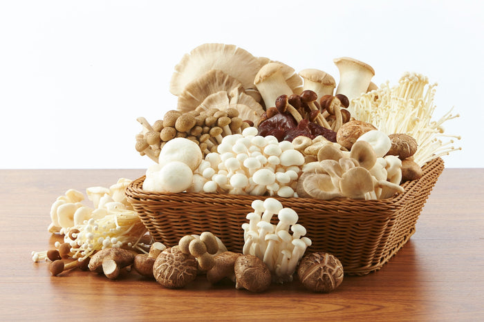 A basket filled with fresh mushrooms displayed on a wooden table