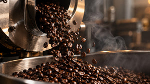 Mold and Mycotoxins in Coffee: What the Research Actually Shows