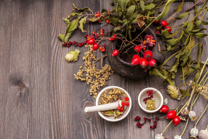 witchbowels-with-dry-herbs-flowers-and-wild-berries
